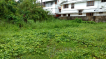 6.100cents of land at rail nagar,Kadavanthra