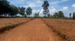 4 cents of land at thuruthikkara, Mulanthuruthy